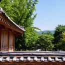 담 - 안산시 단원구 산단로 325 | 담