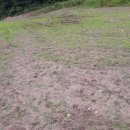 엄정면사무소 이미지