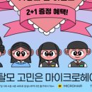 마이크로헤어증모