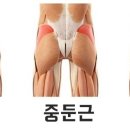 엘제이메디컬트레이닝 이미지