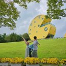 테마파크 | 임실치즈테마파크 후기🌼 전라도 가볼만한 곳, 임실N치즈축제