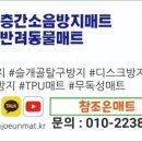 참조은 애견 이미지