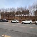 상림로-6 이미지