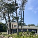 [인천 강화도 교동 카페/야외 애견동반] 어노인트 교동도점 리뷰