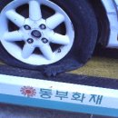 백둔