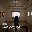 빛중앙14로 | 용산 이태원 모다 갤러리 전시 컬러와 꽃이 가득한 미셸 앙리 전시회 VIVID 후기 (-12/14)