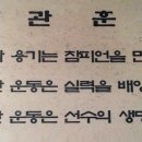 수년복싱체육관 이미지