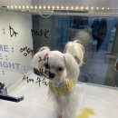 메이 동물병원 이미지