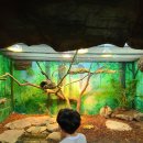 황궁 | 충남 아이와 가볼 만한 곳으로 엄마와 아들 단둘이 함께한 1박2일 서천 여행 (에코리움,시큐리움등)