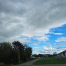 운학동하천공원_R | 뉴질랜드 여행이야기 (5) Day5 크라이스트처치 모나 베일 가든공원 해글리파크 에이번강 리버사이드 마켓