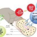 천연염색퀸즈헤나 이미지