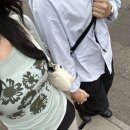 피키 | 피키 소사이어티 쇼핑 후기 + 위시리스트