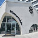 번패티번강릉 이미지