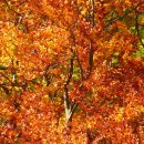 남후초교 이미지