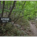 뱀사골야영장 이미지