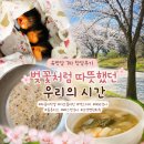 벚꽃처럼 따뜻했던 유방암 7차 항암 후기 파클리탁셀 카보플라틴, 엑스지바 투여 기록