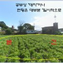 한반도면-2 이미지