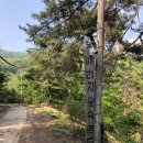 싸리치펜션 | 정말 오랜만에 만남~ 원주 싸리치숲속랜드 펜션 힐링여행