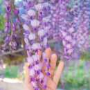 합도초등학교 이미지