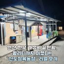 미소농장 | 안산 가성비 한우 끝판왕 &#39;신도정육농장&#39; 신도농장 솔직 후기