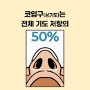 바람결 이미지