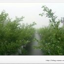 미르농장 이미지