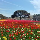 샘물선교어린이집 이미지