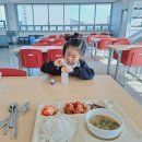 도립도서관 구내식당 티스토리