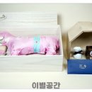 반려인연