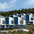 마레모어 이미지