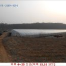 선장면 아산만로 네이버블로그