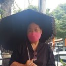 설레인 별 이미지