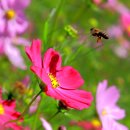 석곡버스터미널 이미지