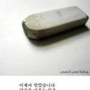 ［리뷰］미국 어그 UGG 타즈 샌드 240 내돈내산 착샷 후기(+사이즈 팁, 오염 지우는 법)