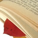 [질문] 평생교육사 자격증 취득에 대하여..... 이미지