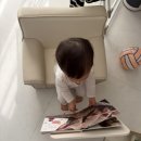 브레드스토리 - 동대문구 서울시립대로12길 39 | 아기쇼파 루나스토리 브레드쇼파 1인용 내돈내산 후기 19개월아기 독서존 만들기