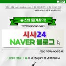 프로팀스타 복싱 이미지