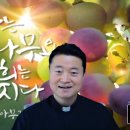 2023년 5월 12일 가해 부활 제5주간 금요일 (복음: 요한 15,12-17) ＜이렇게 기도하면 무조건 들어주십니다＞ 이미지