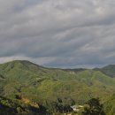 산천초목 이미지