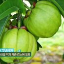 터미널 휘트니스 이미지