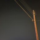 카페502 이미지