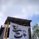 화분속야생화 농원 이미지