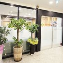 소나무내과의원 이미지