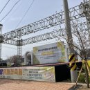 꽃내음나개 | [강아지와 강원도여행] 강원도 봄꽃축제현장! 드넓은 유채꽃밭이 있는 "삼청맹방유채꽃축제"