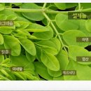 참다움푸드 이미지