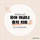 유아 어금니 충치치료 은니 신경치료 비용 및 후기