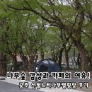 봄숲.조형노리 | 공주 선돌느티나무캠핑장 명당 정리, 시원한 나무숲과 감성카페까지