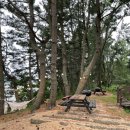 태안 머드캠프 펜션 이미지