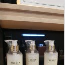 아나덴슈가링왁싱 서울대입구역점 이미지