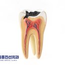 서울홍진선치과의원 이미지